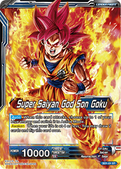 SD1-01_medium.png?v=1498340505